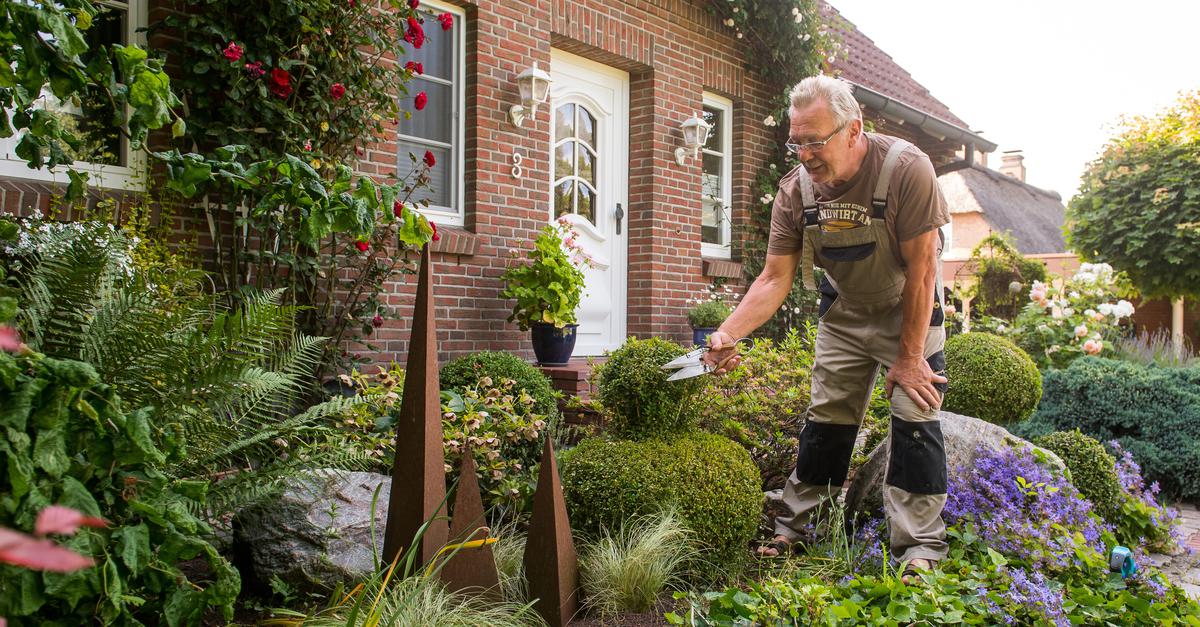 Verbrauchertipp-Gartenplanung-h-lt-Kosten-in-Grenzen