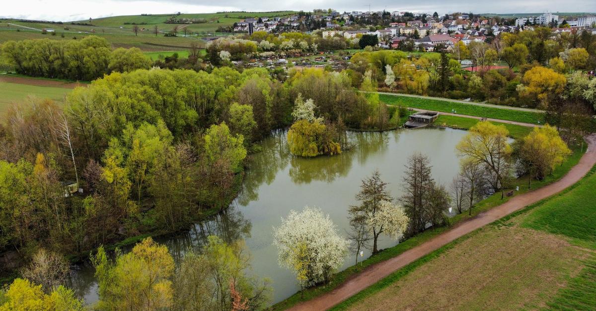 B-ume-und-Str-ucher-werden-am-Alzeyer-Dauerstau-entfernt