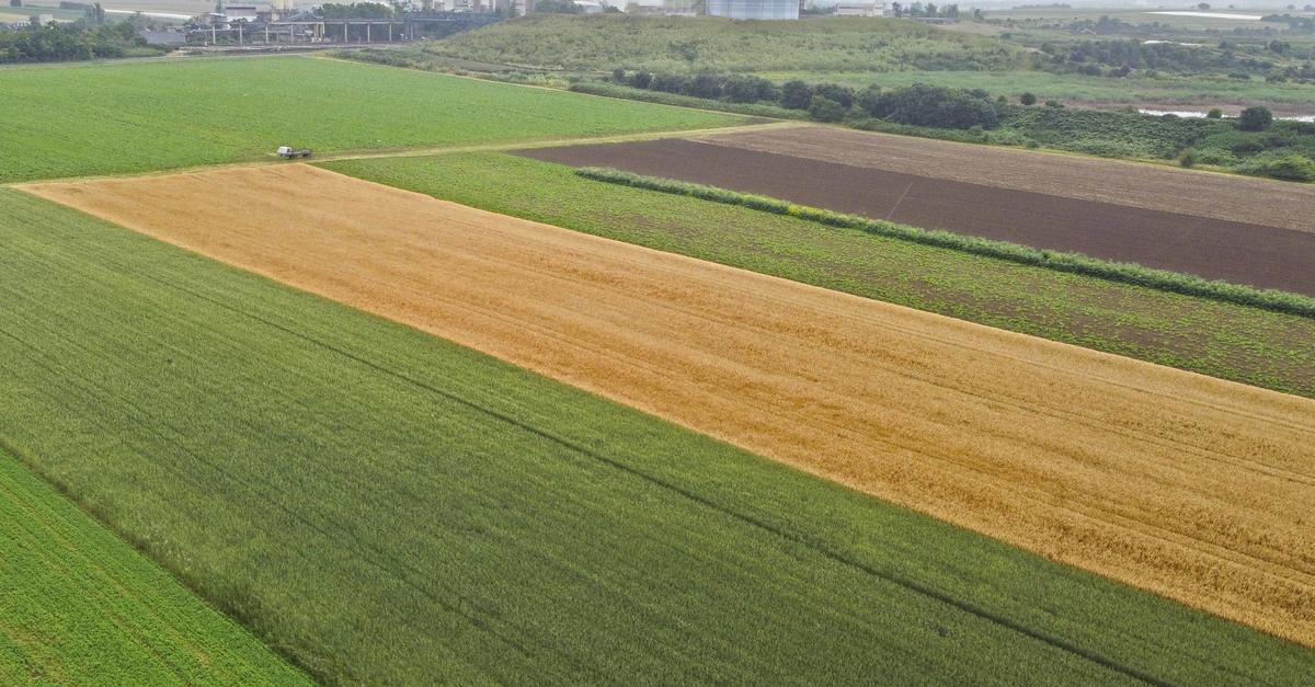 M-glichkeiten-f-r-Gewerbegebiet-in-Offstein-pr-fen