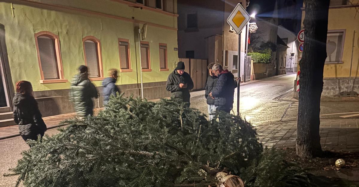 Unbekannte-s-gen-Gimbsheimer-Weihnachtsbaum-um