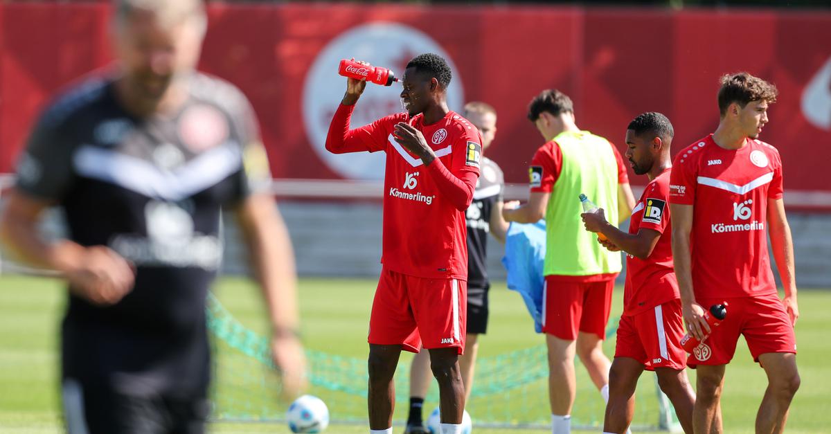 Mainz-05-Transferticker-Der-Stand-bei-Fernandes-und-B-ving