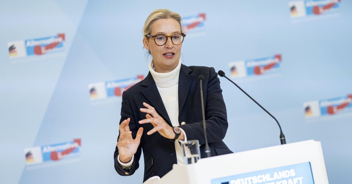 Der-au-enpolitische-Balanceakt-der-AfD