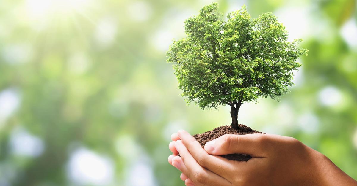 VHS-Kurs-in-Worms-Klimawandel-kennen-verstehen-