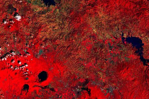 Das Satellitenbild wurde so verarbeitet, dass die Vegetation rot erscheint. Foto: ESA 