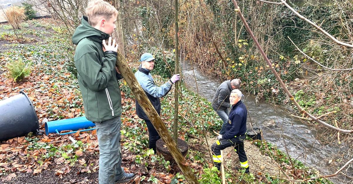 Neue-Klimab-ume-f-r-Osthofen