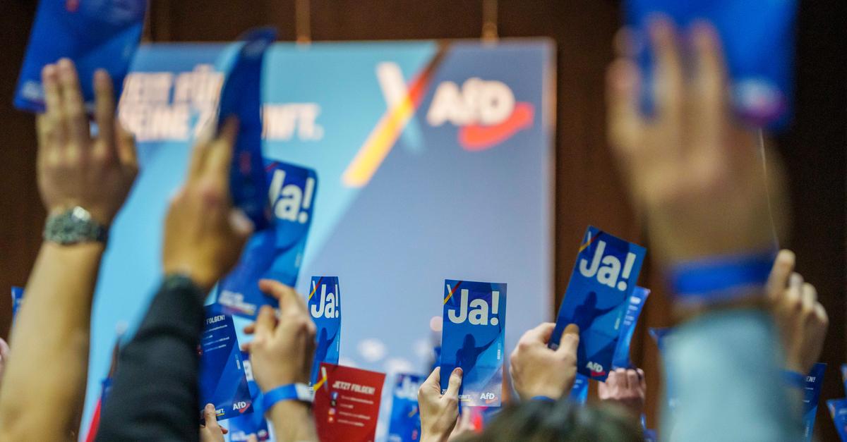 Korte-Rink-Wie-gef-hrlich-ist-die-AfD-Jugendorganisation-