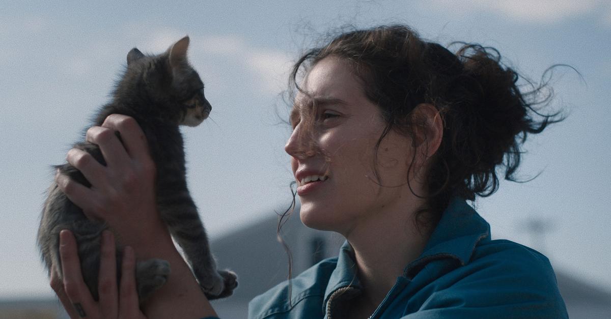 Kinostart-der-Woche-Sorry-Baby-