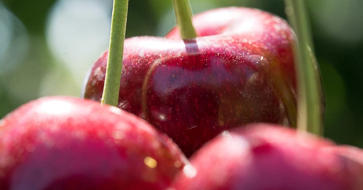 Schambes-Das-Kuchenmissgeschick-am-Wochenende