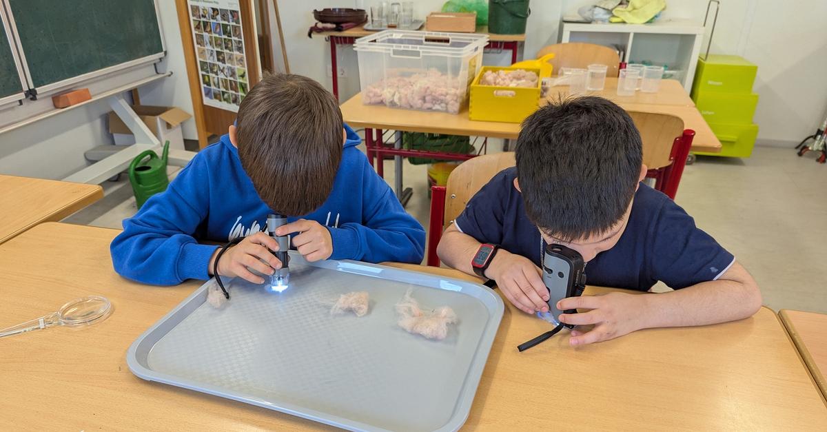 MINT-Experte-begeistert-an-Alzeyer-Schule-im-Forscherraum