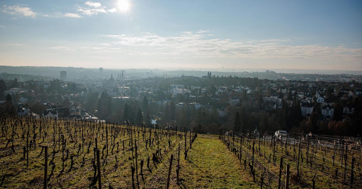 Plusgrade-und-Sonnenschein-in-Hessen