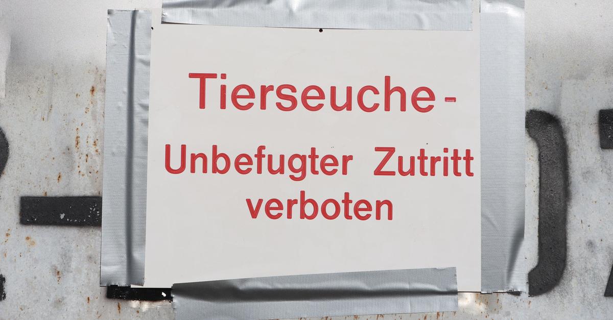 Stallpflicht-f-r-Gefl-gel-in-Mittelhessen