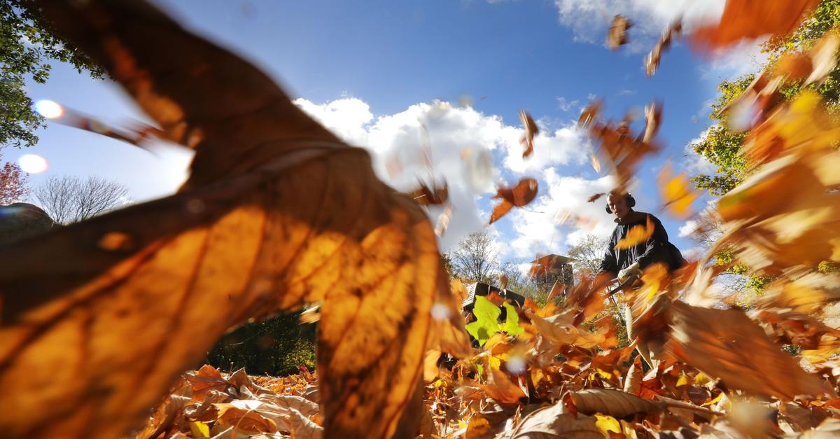 Leisere-Laubbl-ser-im-Einsatz-Natursch-tzer-warnen-dennoch