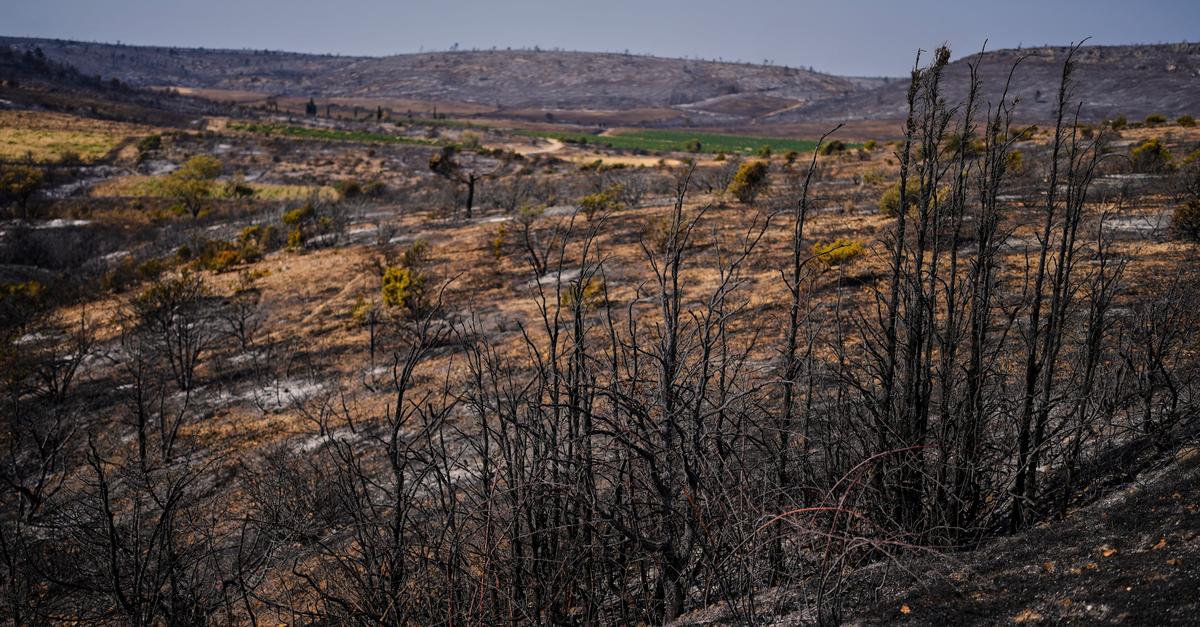 Feuerwehrleute-aus-Hessen-helfen-in-Frankreich