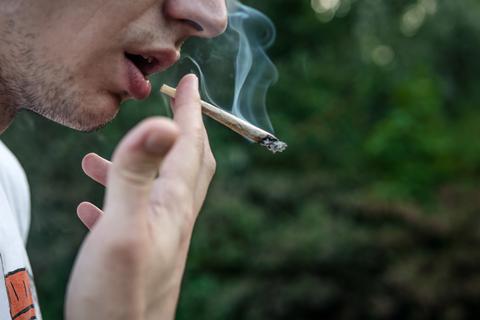 Cannabis ist die am häufigsten konsumierte illegale Droge. Das Risiko, abhängig zu werden und Folgen von dem Konsum zu tragen, scheint unterschätzt zu werden.