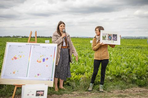Sarah Behrmann (li.) und Helen Pfitzner erklären vor einem Rübenacker in Worms-Ibersheim, was es mit dem Projekt auf sich hat. Foto: pakalski-press/Marc Braner
