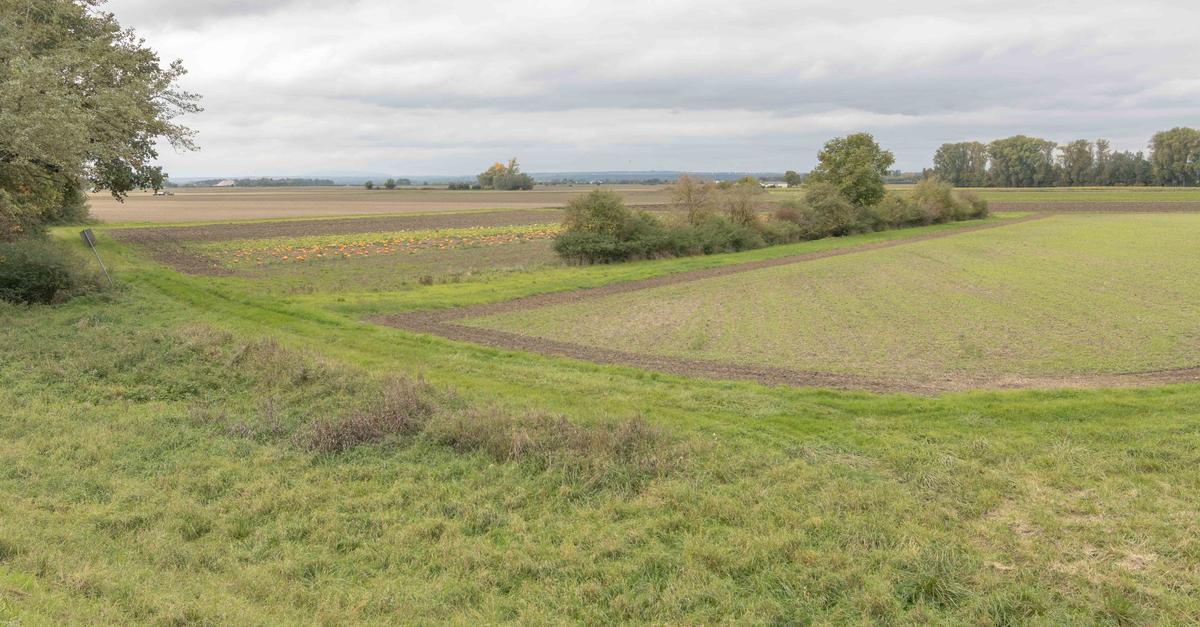 Flurbereinigung-um-Hamm-Landwirte-profitieren-von-Ma-nahme
