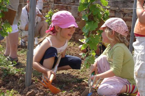 Im Kinderwingert die Erde umzupflügen scheint diesen beiden Mädchen Spaß zu bereiten. Am 12. März können sich kleine Winzer wieder im Weinberg tummeln. Foto: Marion Fink