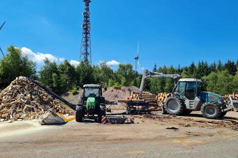 Die Brennholzproduktion im Ingelheimer Wald läuft auf Hochtouren. Foto: Florian Diehl