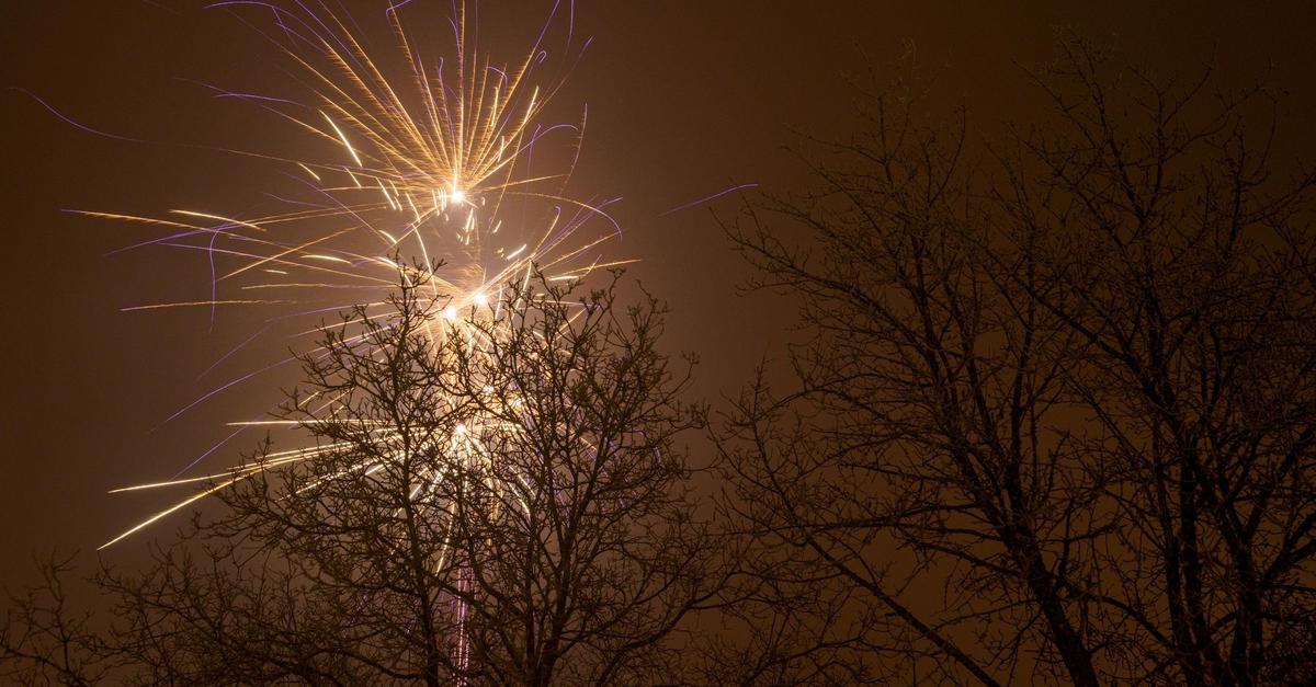 wormel-vor-dem-wechsel