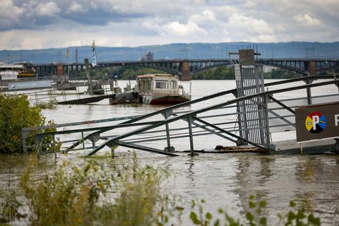 Mainz hat das Hochwasser weitestgehend verschont. Sichtbar ist es aber dennoch. Foto: Sascha Kopp