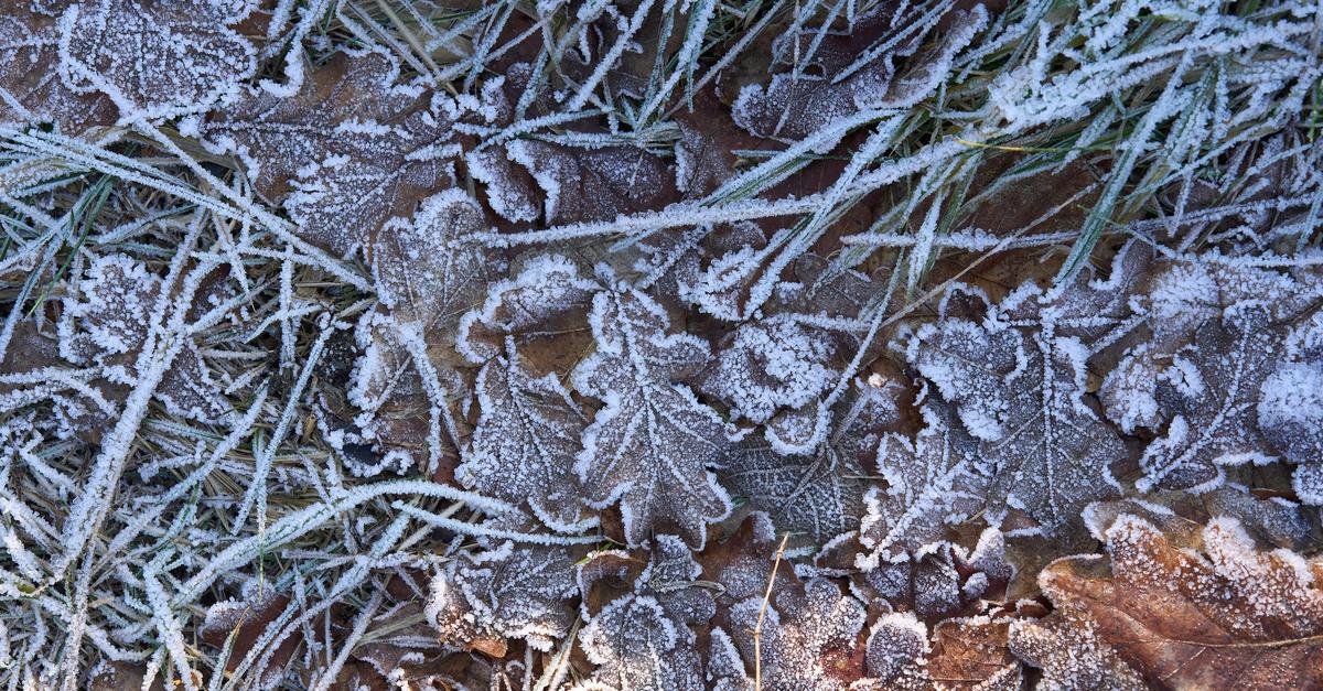 Winterwetter-in-Rheinland-Pfalz-und-Saarland