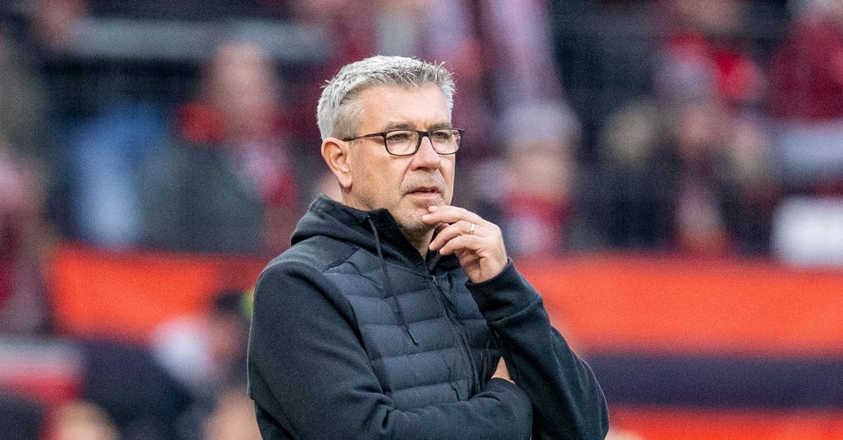 Live-Die-Mainz-05-Pressekonferenz-mit-Trainer-Urs-Fischer