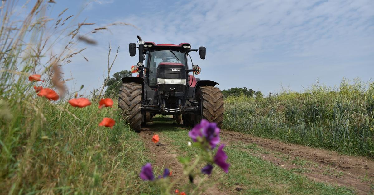 Umweltschutz-und-Landwirtschaft-reichen-sich-die-Hand