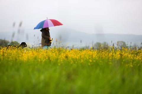 Eine Frau geht im Regen mit ihrem Hund spazieren.