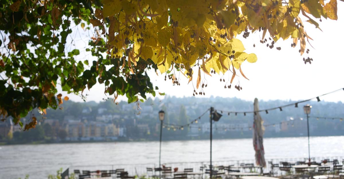 Sehr-milde-Temperaturen-in-Rheinland-Pfalz-und-Saarland