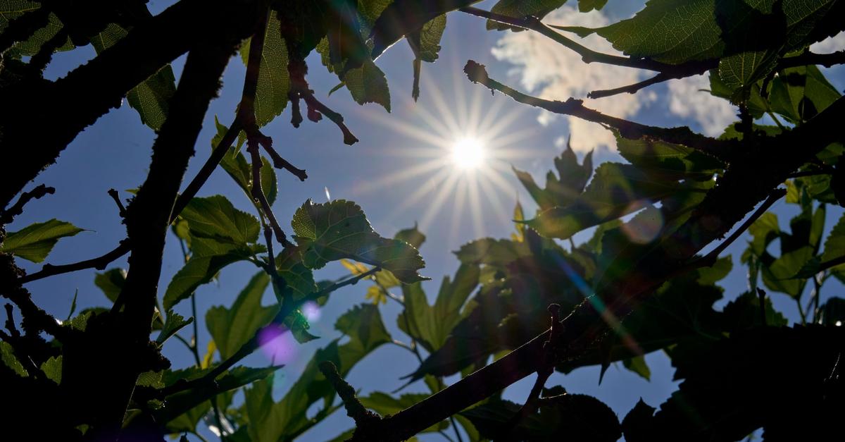 Der-Sommer-kommt-noch-einmal-nach-RLP-und-ins-Saarland