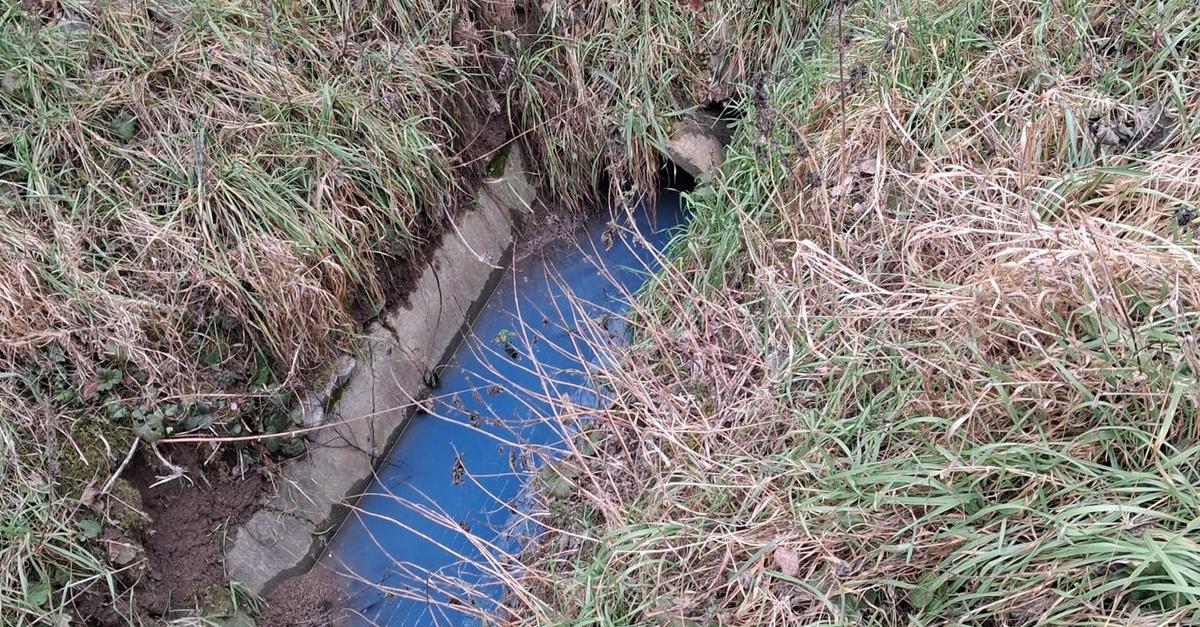 Weiteres-Gew-sser-verunreinigt-Schwarze-Fl-ssigkeit-in-Bach