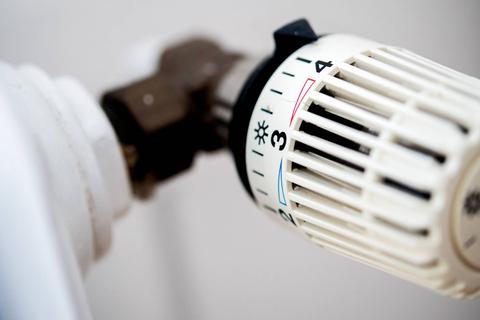 Weil die Gaspreise weiter steigen sollen wollen viele Verbraucher zum Winter auf Brennholz umsteigen. Symbolfoto: dpa