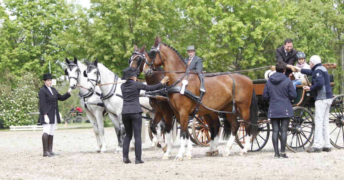Ilona-Becker-k-mpft-f-r-den-Reitsport-in-Pfeddersheim