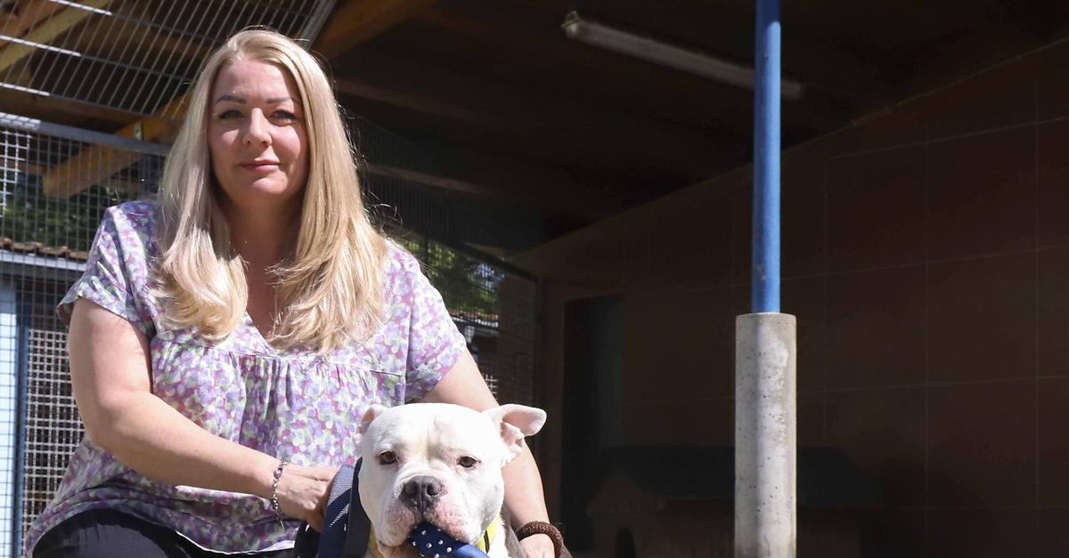 Tierflut-und-Ebbe-in-der-Kasse-Tierheim-Worms-ist-am-Limit