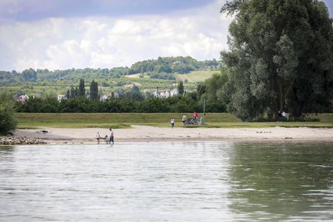Erneut ist beim Baden im Rhein am Samstag ein Unfall passiert.  Symbolfoto: Lukas Görlach