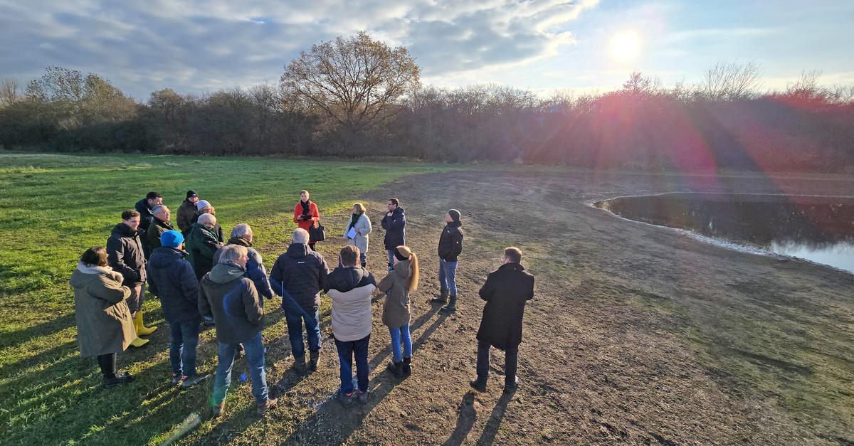 Acht-neue-T-mpel-als-Schutzma-nahme-f-r-Amphibien-in-Worms