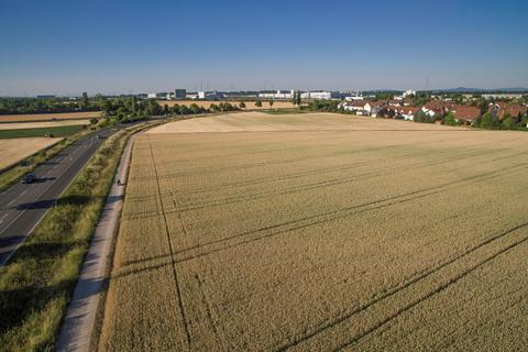 Das geplante Neubaugebiet In den Lüssen in Neuhausen. Hochhäuser sollen nach dem Willen der SPD hier nicht errichtet werden, damit der Siedlungscharakter erhalten bleibt.
