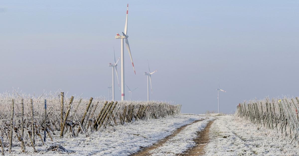 Austausch-der-Windr-der-auf-Herrnsheimer-H-he-beginnt
