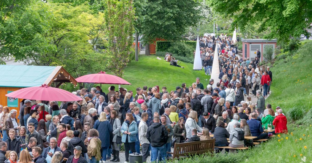 Das-waren-2025-die-sch-nsten-Momente-in-Worms