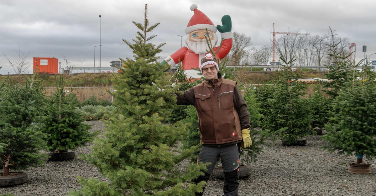 Hier-k-nnen-Wormser-ihren-Weihnachtsbaum-kaufen