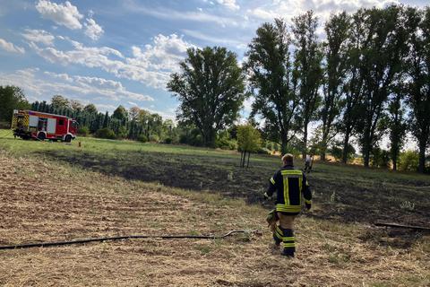 Das Feuer auf einer Grünfläche in der Nähe der Grillhütte in Pfeddersheim war schnell unter Kontrolle.  Foto: Stadt Worms