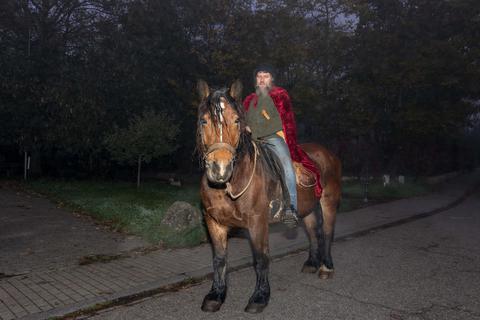 Hubertus Assmann sitzt vor dem Martinsumzug in Leiselheim auf seinem Pferd, der Pfalz-Ardenner-Stute Walburga.