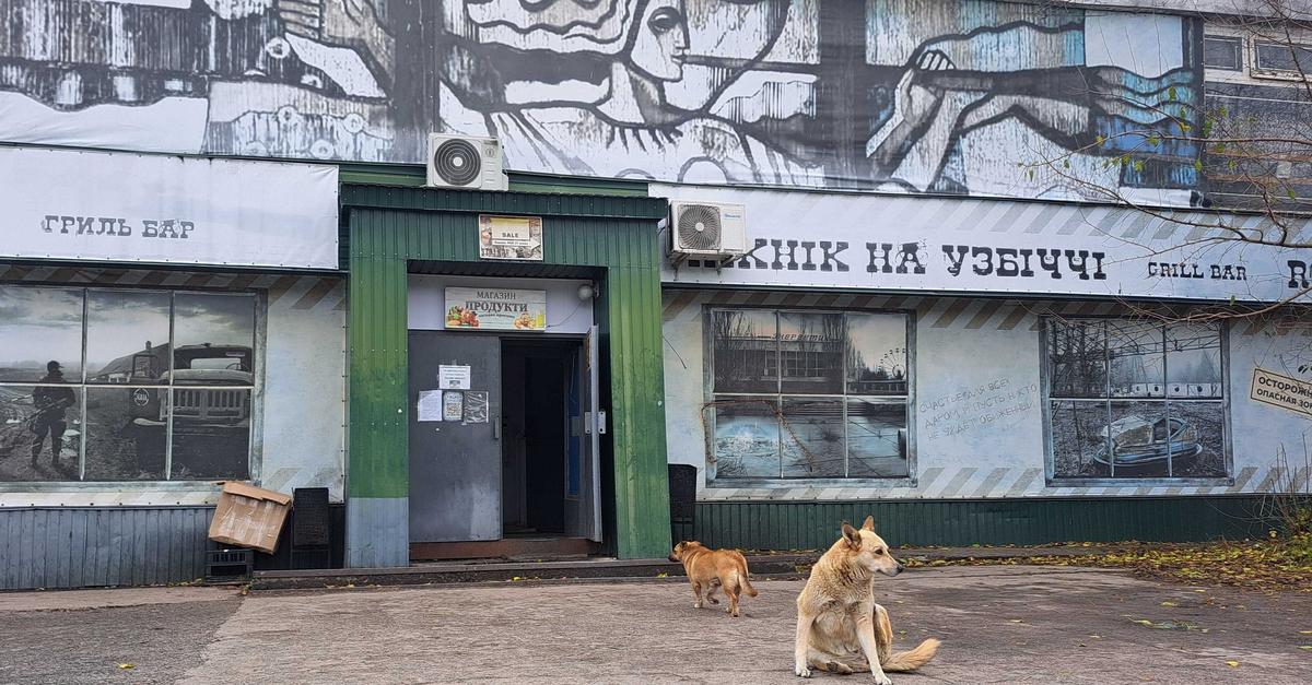 Beh-rde-Blaue-Hunde-in-Tschernobyl-wurden-markiert