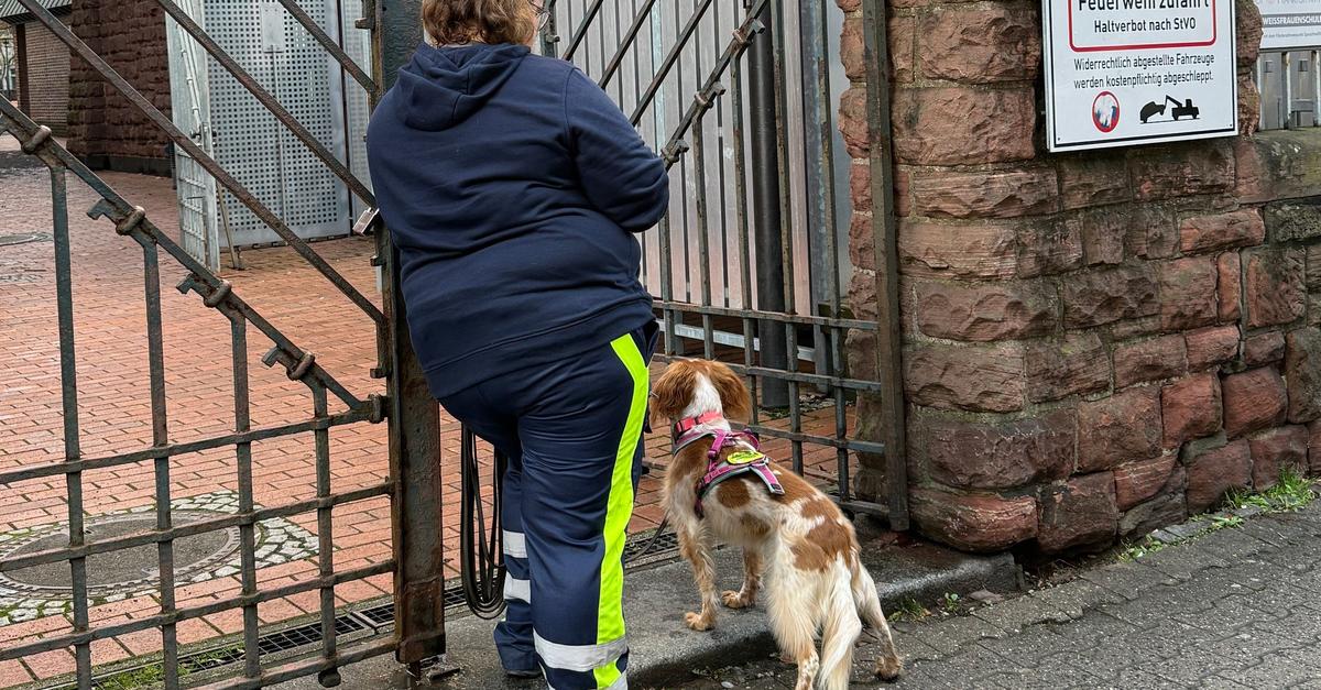 Vermisster-Achtj-hriger-zuletzt-in-Obhut-des-Jugendamts