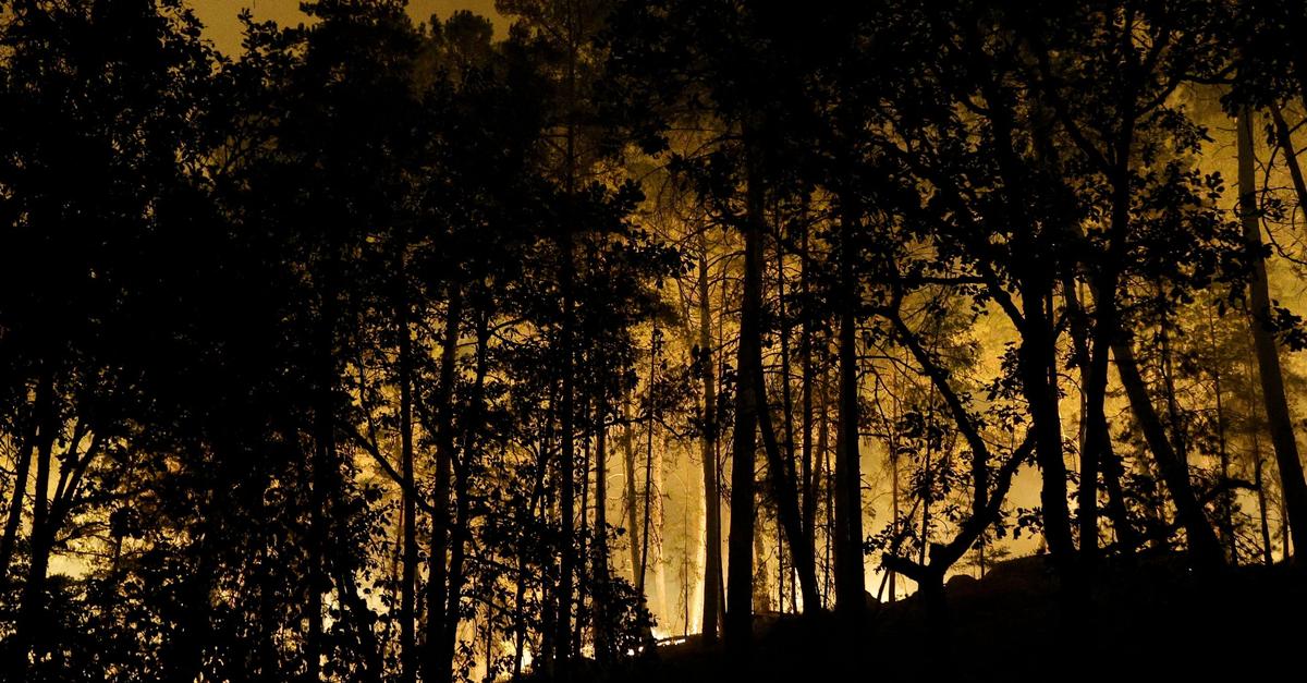 Waldbrand-bei-Paris-L-schflugzeuge-im-Einsatz