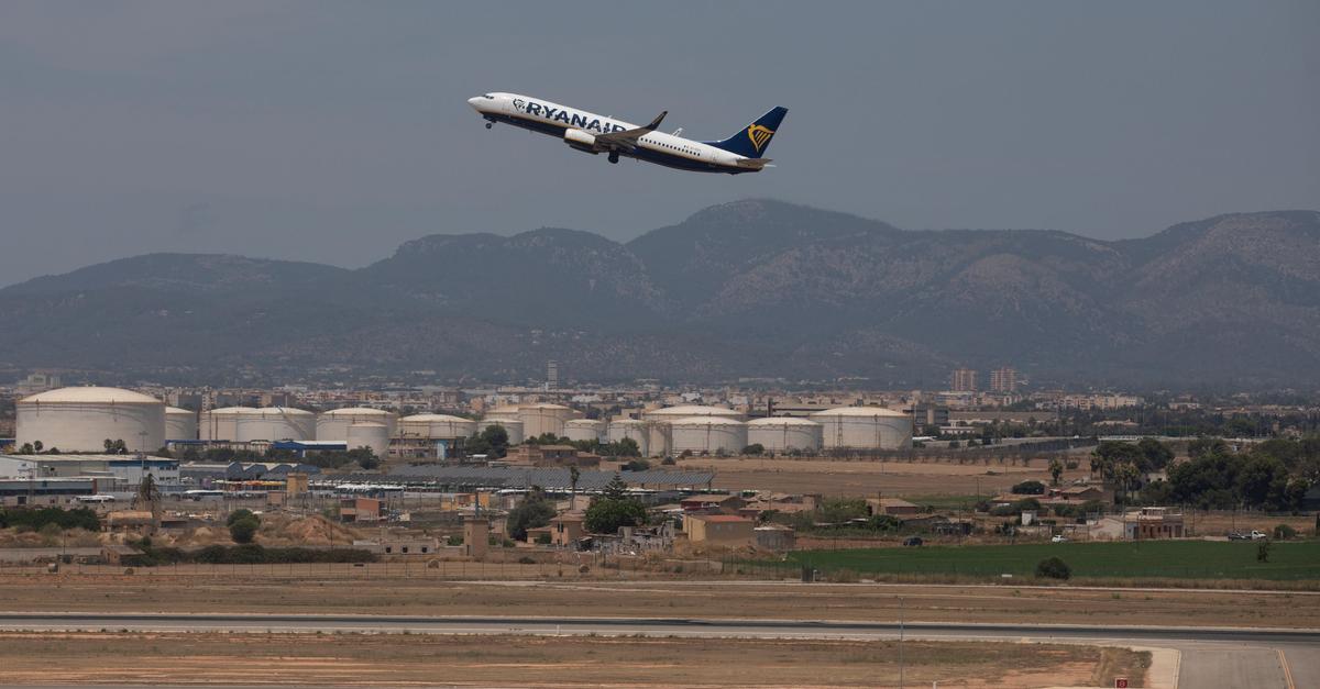 Hundewelpe-sorgt-am-Mallorca-Flughafen-f-r-Aufregung