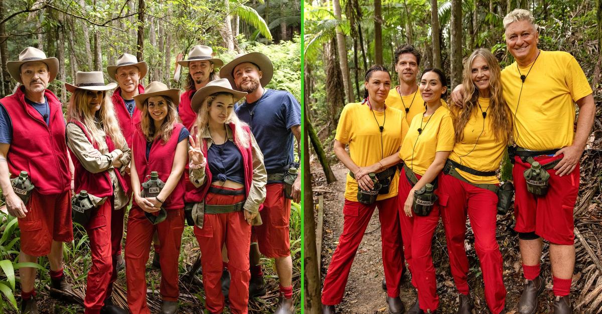 Dschungelcamp-Ofarim-will-nicht-sprechen-oder-doch-