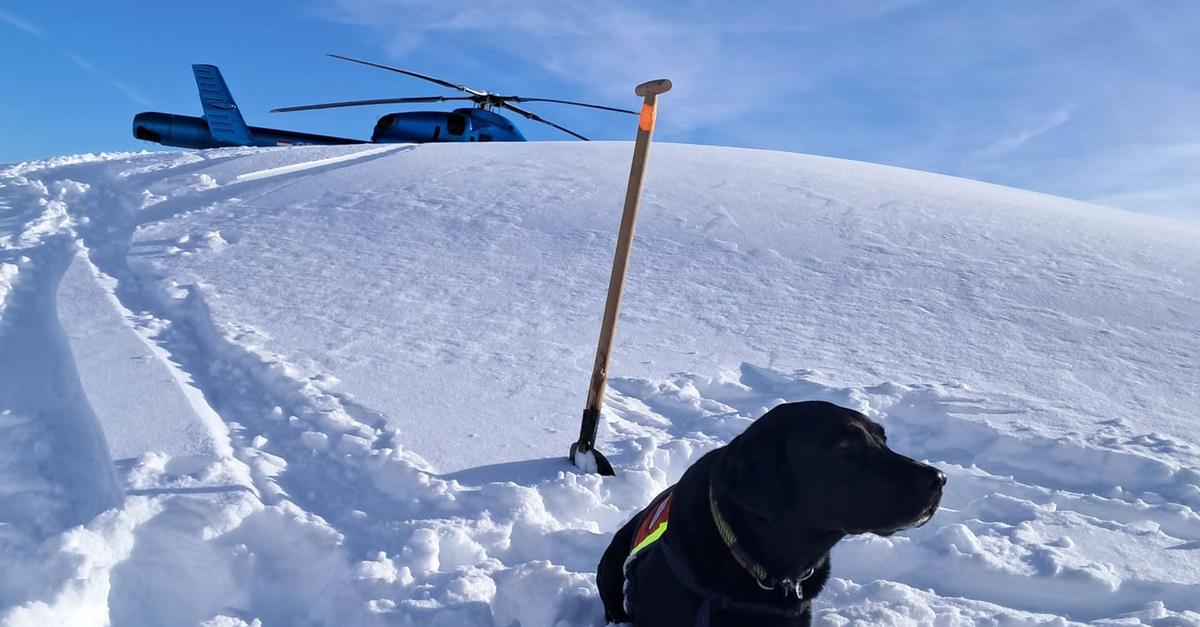 -Lage-ist-heikel-Acht-Lawinen-Tote-in-sterreich
