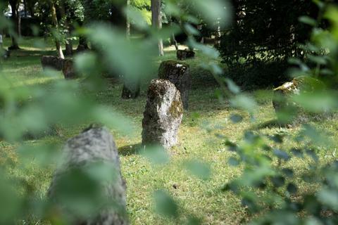 Der Denkmalfriedhof ist der historisch bedeutsamste Teil des Alten Jüdischen Friedhofs in Mainz – hier stehen Grabsteine aus der Blütezeit der SchUM-Gemeinden.  Foto: Justus Hamberger/Simon Rauh