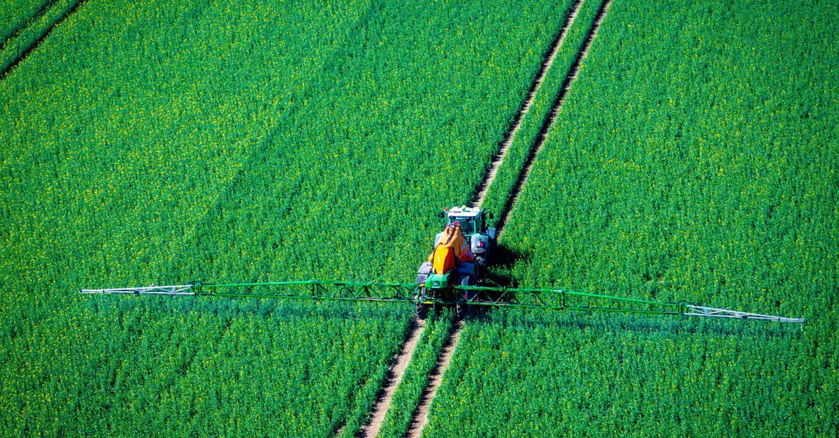 Studie-Pestizide-sch-digen-Europas-B-den-und-N-tzlinge